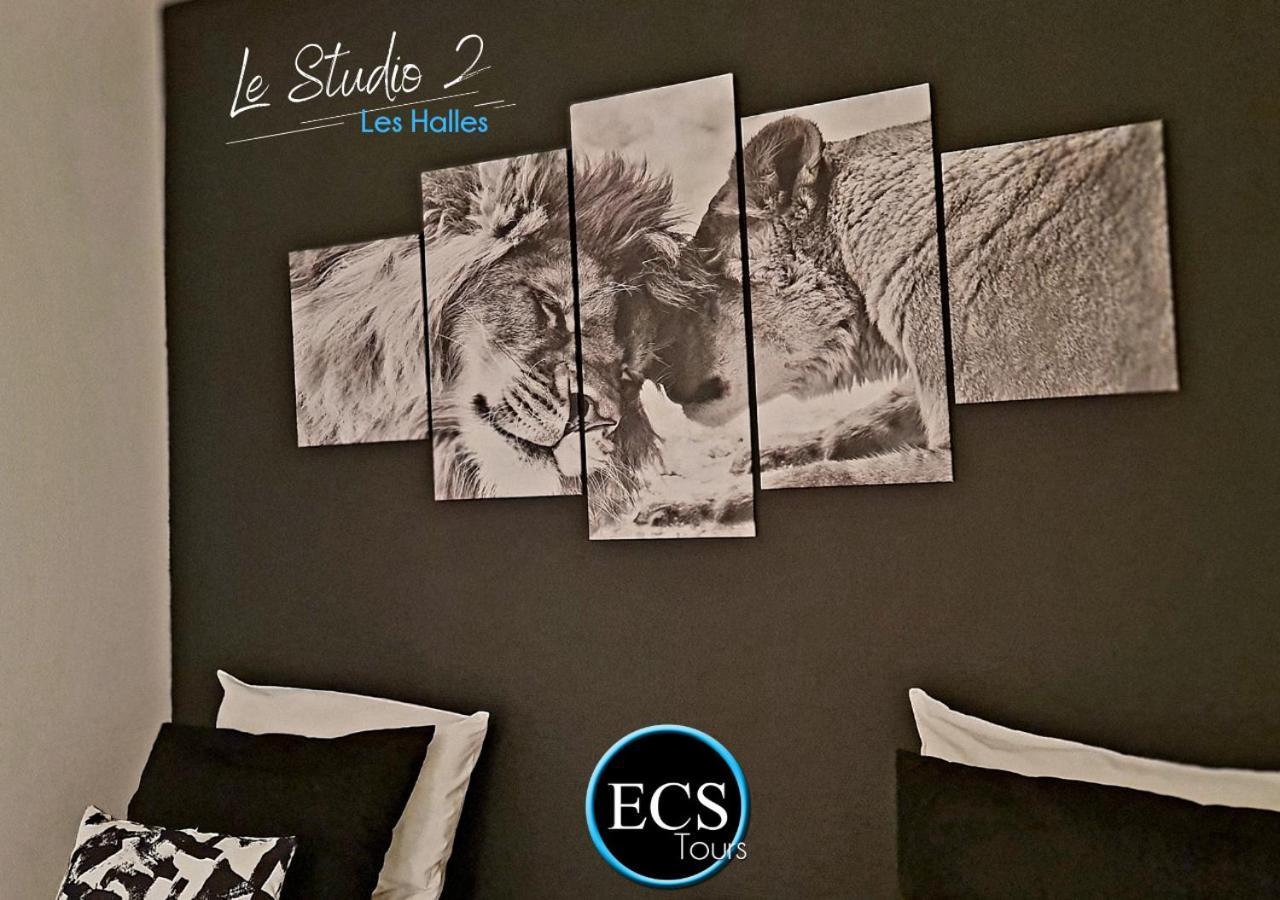"Le Safari" - 2 Lits - Au Coeur Du Vieux Tours Διαμέρισμα Εξωτερικό φωτογραφία